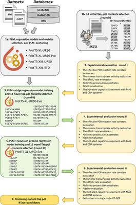 Enhancing the reverse transcriptase function in Taq polymerase via AI-driven multiparametric rational design